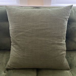 Green Throw Pillow 19”x19”